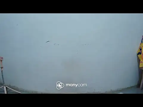 hottiemama69 online show from 03.21.26