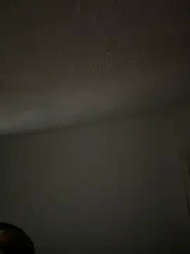 lige-8888 online show from 11.29.25