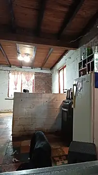 Snapshot of ChanneldelaCroix chatting on 02.20.26 ChanneldelaCroix online show from 02.20.26