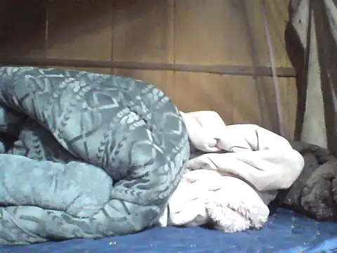 Alibabapi online show from 04.08.26