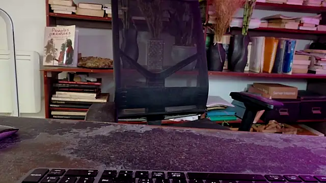 diogene11 online show from 11.29.25