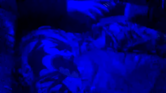 joshbrown699 online show from 11.30.25