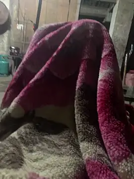 Snapshot of anh-soi123 chatting on 03.11.26 anh-soi123 online show from 03.11.26