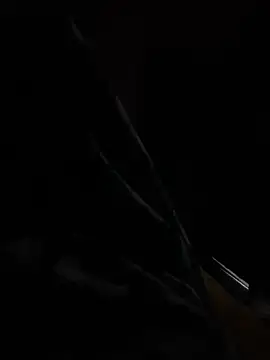 hot8veera online show from 12.02.25