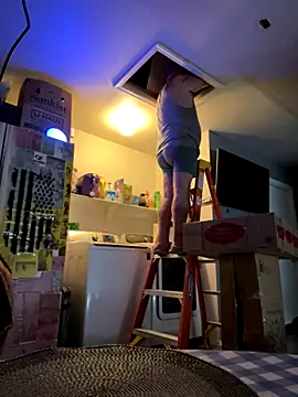  online show from 12.03.25