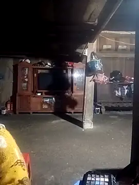 ava-dellght online show from 02.04.26