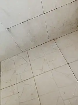 BoyMuslimTelugu online show from 12.17.25