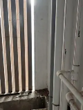 boyfromMum bai online show from 01.16.26