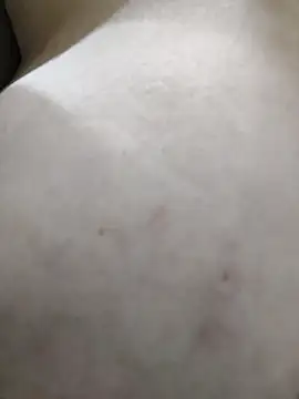 palomitka online show from 02.11.26