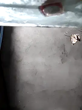 Snapshot of gigo-ulala chatting on 12.16.25 gigo-ulala online show from 12.16.25