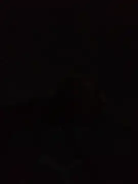 Andreskelly online show from 04.22.26