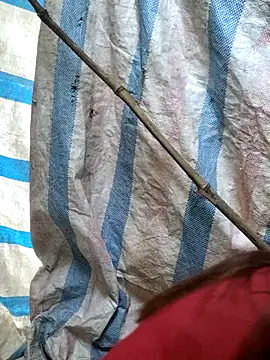 mit0-77 online show from 02.15.26