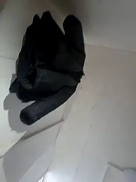 Snapshot of SherrylShaw chatting on 12.13.25 SherrylShaw online show from 12.13.25