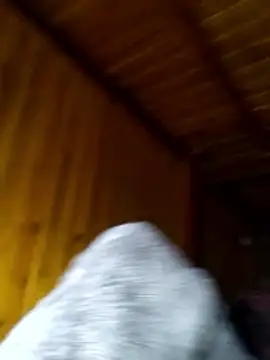 neko-nancy online show from 02.28.26