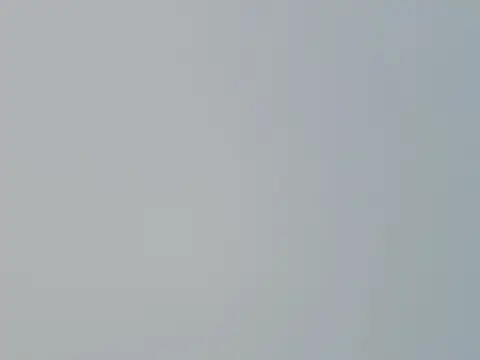 Fish 136 online show from 04.01.26