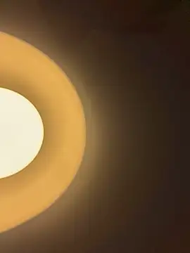 Lena-Williamss online show from 03.02.26