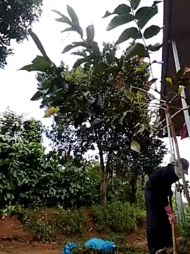 Snapshot of Metting88 chatting on 12.15.25 Metting88 online show from 12.15.25