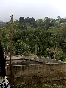  CTMay 77 online show from 04.01.26