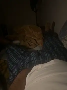 Night outcam online show from 02.17.26