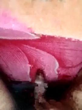 Snapshot of ethanfox966 chatting on 12.15.25 ethanfox966 online show from 12.15.25