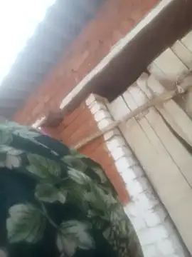 Pinki rajak online show from 04.24.26