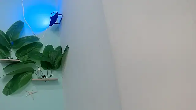 NOVAHOT98 online show from 01.12.26