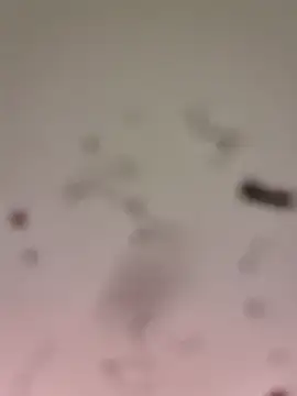 M8ygcthf3 online show from 03.22.26