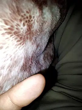 Snapshot of aman4404 chatting on 01.13.26 aman4404 online show from 01.13.26