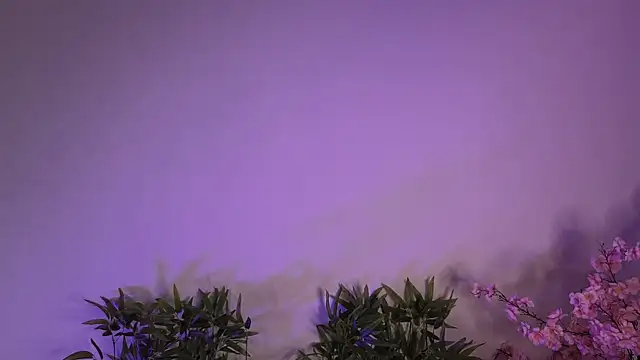 Mila Whelson online show from 01.17.26