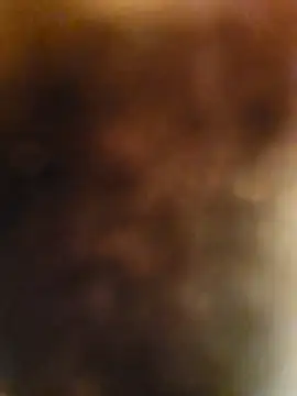 sweets danshi online show from 03.22.26