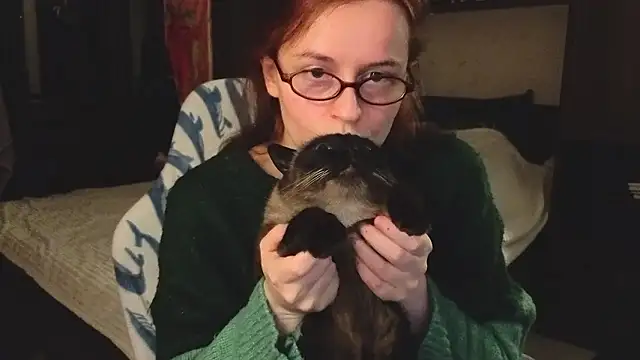 wow reb22 online show from 01.11.26