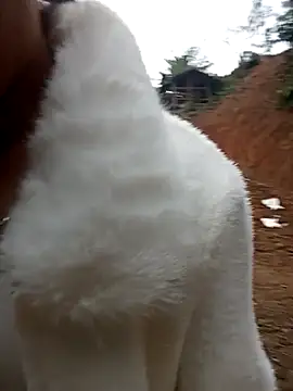 Snapshot of Girl_cutee chatting on 02.01.26 Girl cutee online show from 02.01.26