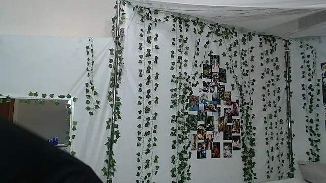 DeerMiracle online show from 01.09.26