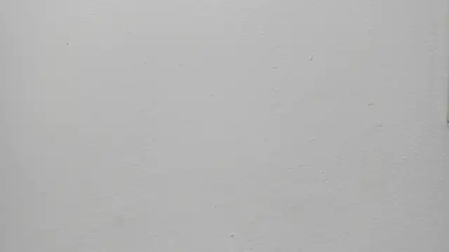 ariloe quintero online show from 03.30.26