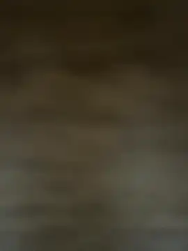 Snapshot of HarllyAlev chatting on 12.18.25 HarllyAlev online show from 12.18.25