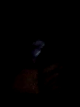 Snapshot of yourwellman chatting on 03.05.26 yourwellman online show from 03.05.26