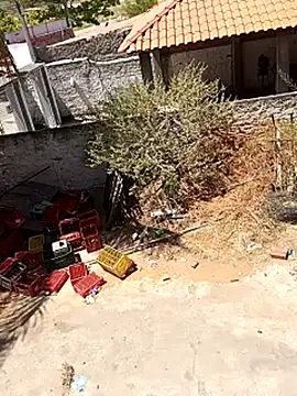  - - bucetuda     online show from 12.18.25