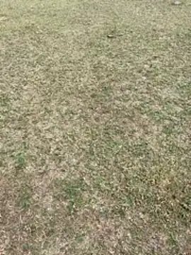 Snapshot of Tamilpaiyan07 chatting on 02.01.26 Tamilpaiyan07 online show from 02.01.26