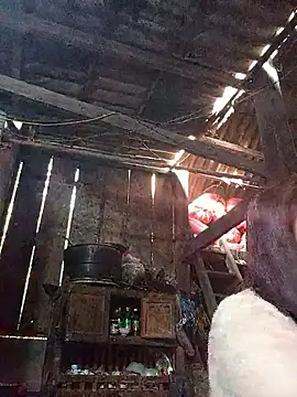 dakota-kis online show from 01.19.26