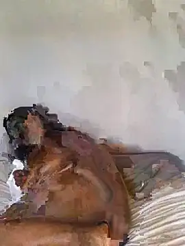 Snapshot of babepear chatting on 02.25.26 babepear online show from 02.25.26