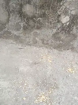 sexyboy 917 online show from 03.05.26