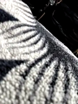 Bhavna8080 online show from 02.20.26