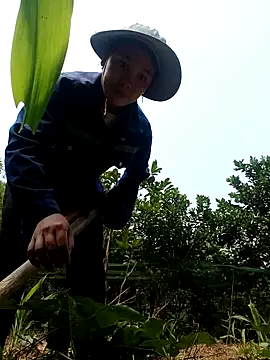 vanvan005 online show from 04.08.26