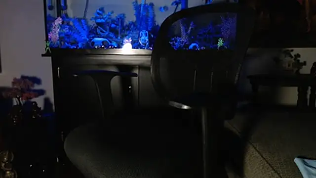 EspanolVato online show from 01.10.26