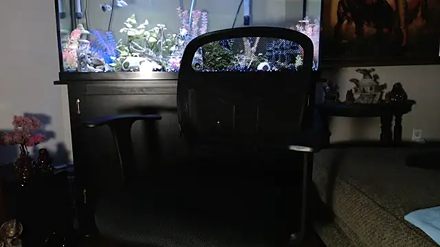 EspanolVato online show from 01.14.26