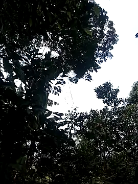 him220 online show from 03.02.26