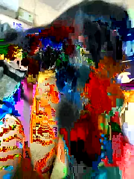 couple fun  online show from 02.15.26