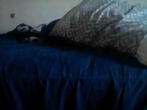 Snapshot of Silencio26 chatting on 01.31.26 Silencio26 online show from 01.31.26