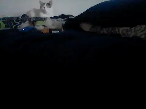 Snapshot of Silencio26 chatting on 02.24.26 Silencio26 online show from 02.24.26