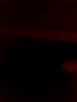 Ljijli online show from 02.28.26